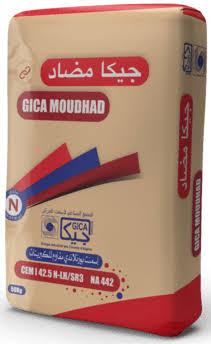 أيقونة وشعار مجموعة جيكا GICA