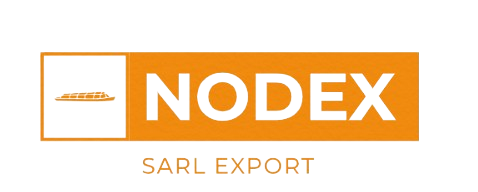 شعار شركة نودكس سارل الدولية Nodex SARL